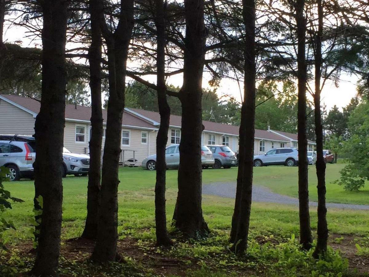Rachel'S Motel And Cottages Surrey Dış mekan fotoğraf